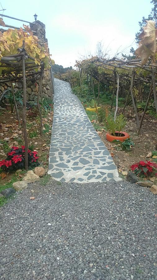 Casa Canaria La Moncloa Βίλα Icod De Los Vinos Εξωτερικό φωτογραφία