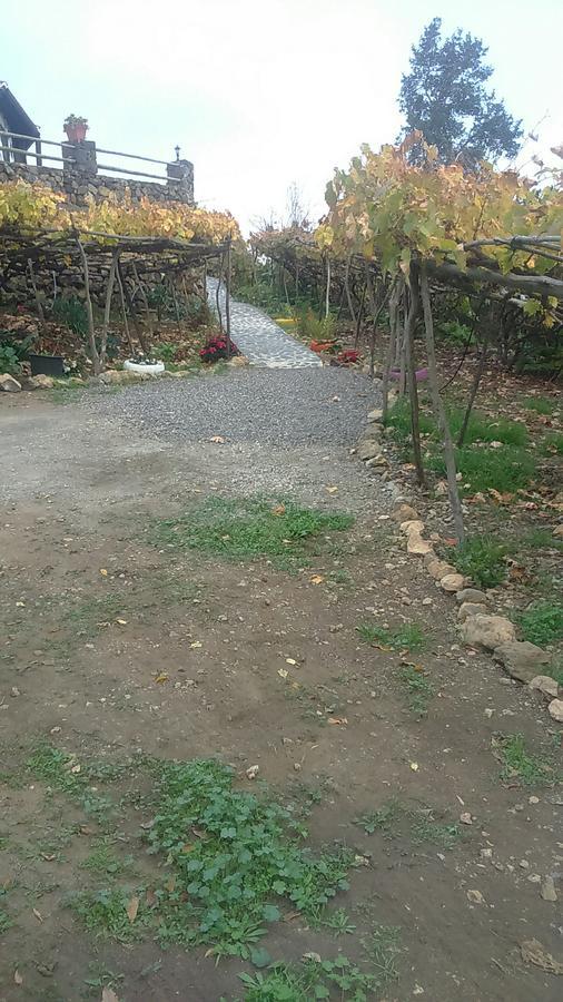 Casa Canaria La Moncloa Βίλα Icod De Los Vinos Εξωτερικό φωτογραφία